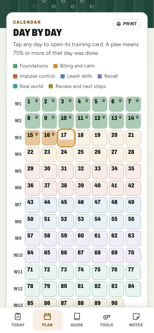 A calendar of all 90 days, colored by block, with paws on finished days